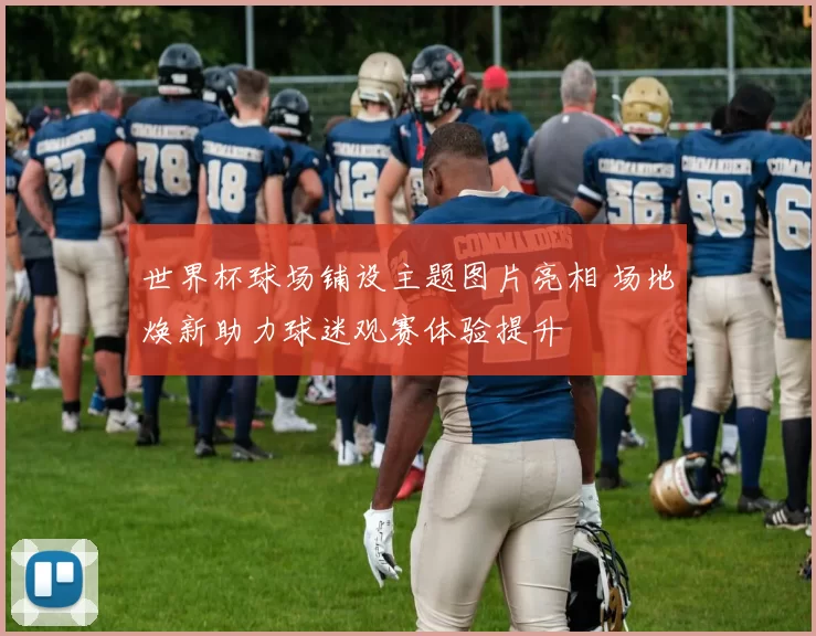 世界杯球场铺设主题图片亮相 场地焕新助力球迷观赛体验提升