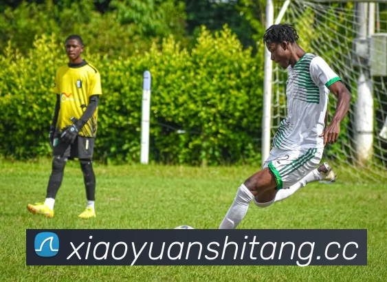 App Interface Preview